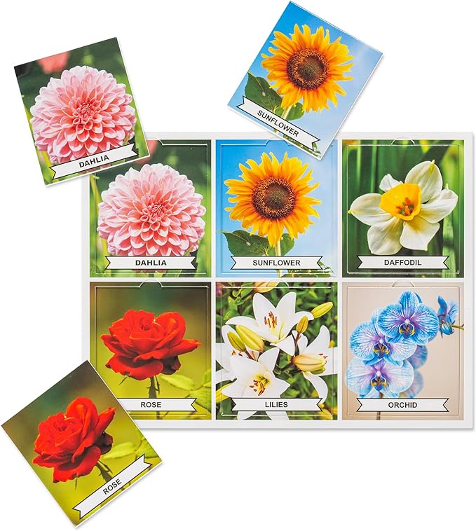 Close-up of flower and nature-themed matching cards laid out on a white activity board — Assistex via EOWD Autism Living