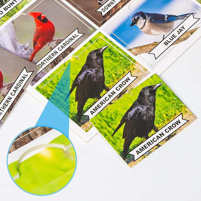 Scattered bird and wildlife picture cards with chip pieces from the Assistex matching game set — Assistex via EOWD Autism Living